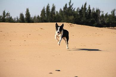 PS5主机发布新固件更新 下载大小约1.1GB